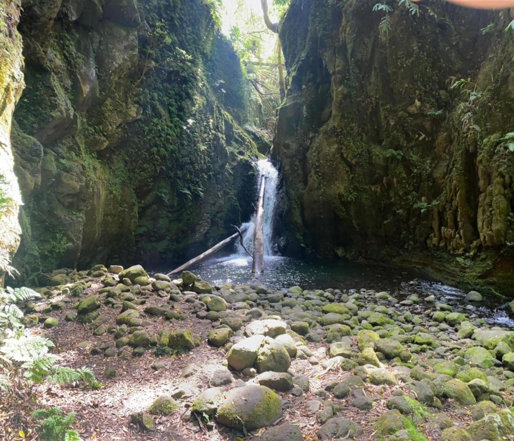 Faial da Terra Casa Auri 빌라 외부 사진